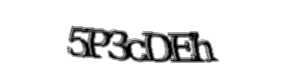 Security check image, please type the characters shown
